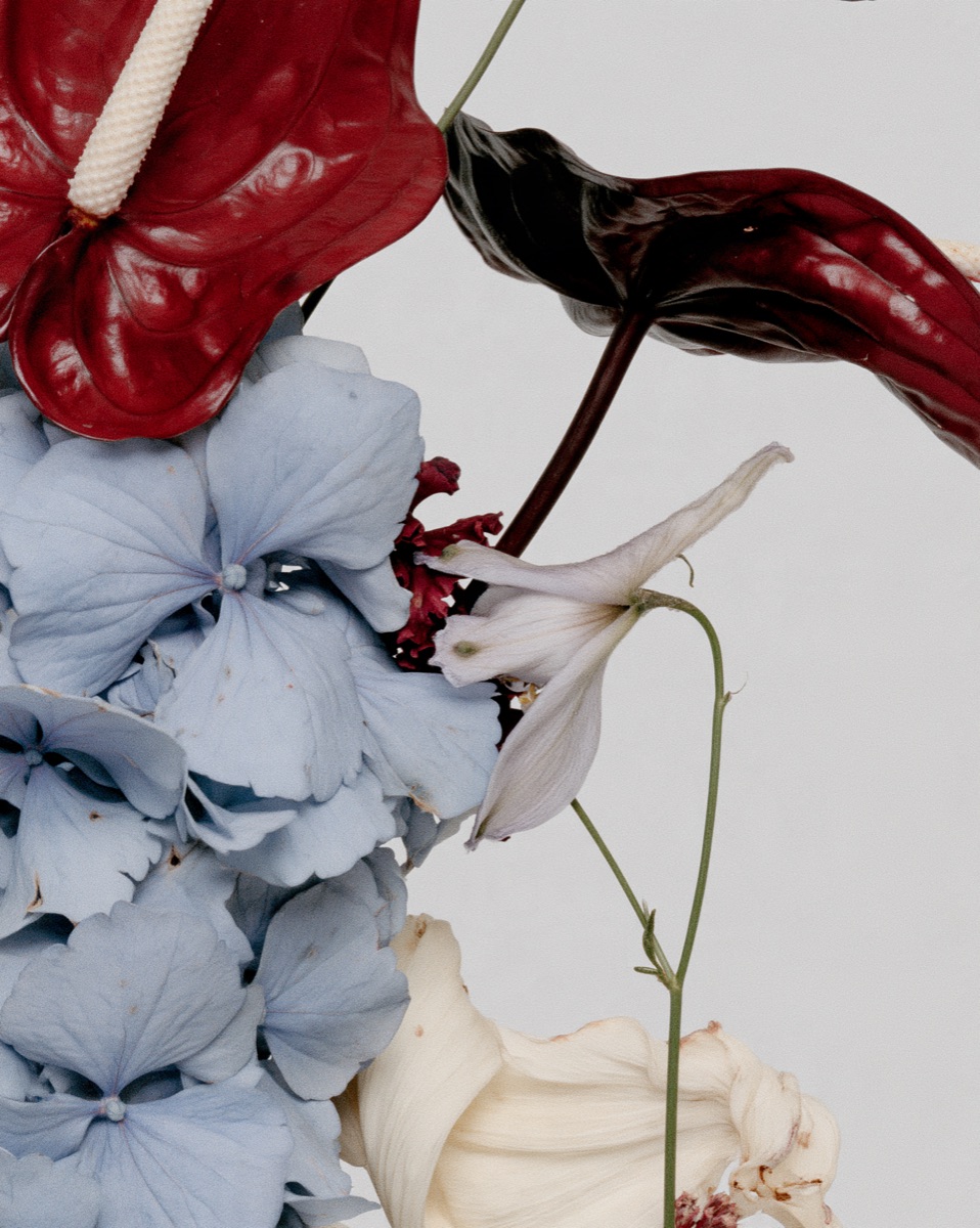 BLOMA – Flowers photography by The Ritual Agency (2)