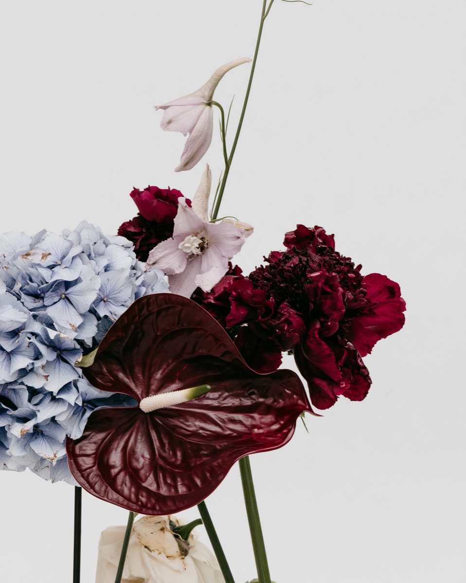 BLOMA – Flowers photography by The Ritual Agency (11)