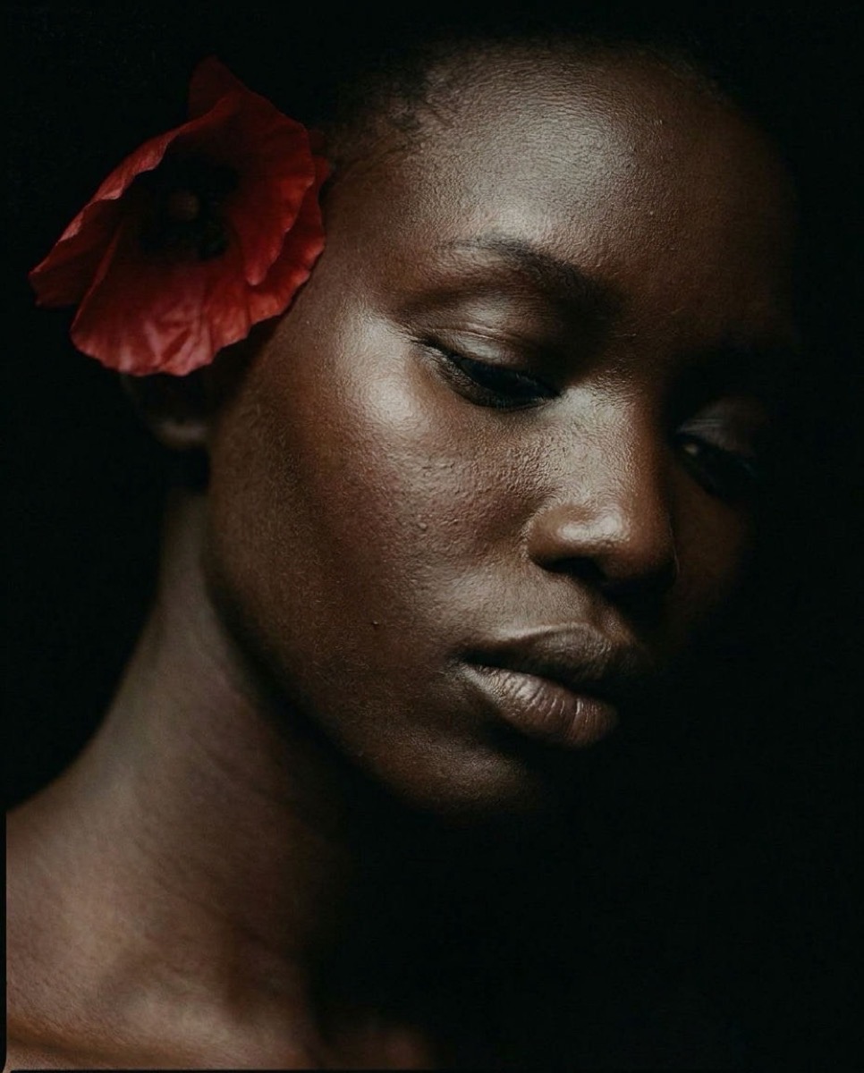 Bloom — 4