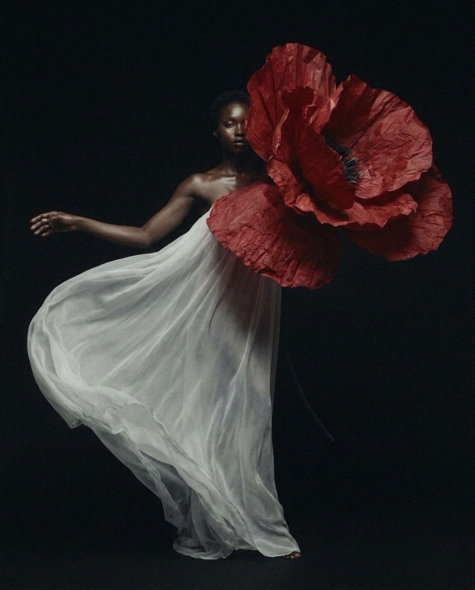 Bloom — 1