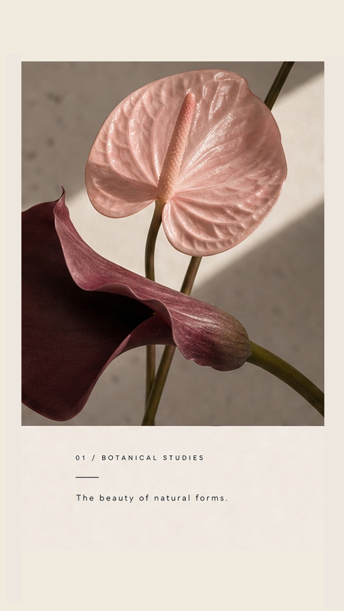 JARDÉ — Social Media Content – Flowers photography by The Ritual Agency (27)