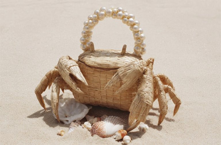 Accessories Visual Content